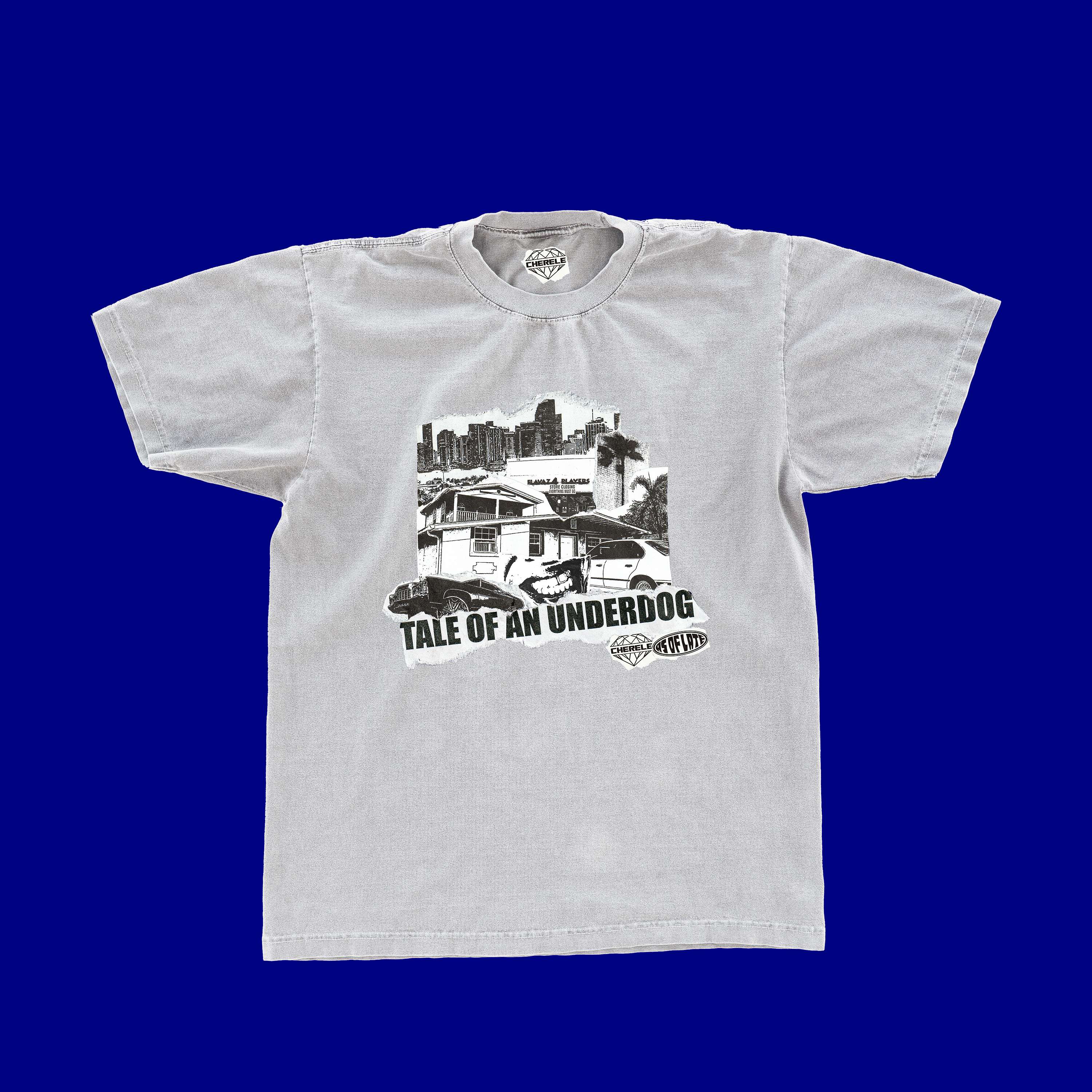 TALE OF AN UNDERDOG — T-SHIRT (FT. MYERS EDITION) image